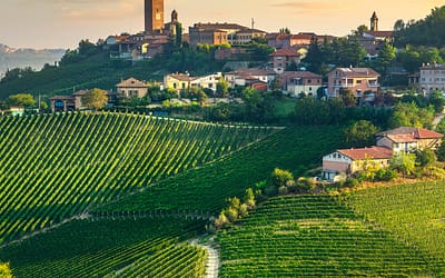 The Langhe: Where the Landscape Tells the Story